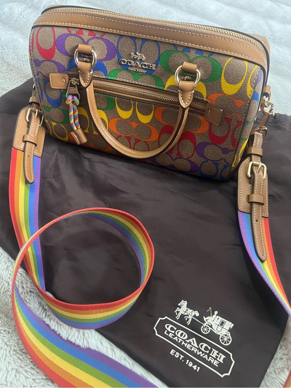 Coach Rainbow Logo Leather Rowan Purse
